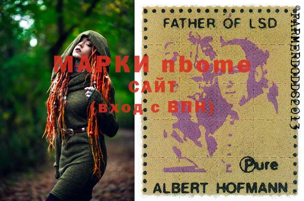 ПСИЛОЦИБИНОВЫЕ ГРИБЫ Покров