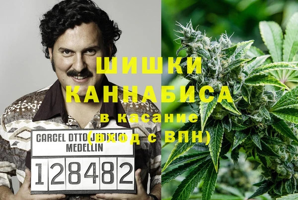 ПСИЛОЦИБИНОВЫЕ ГРИБЫ Покров