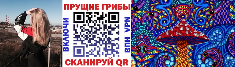 Галлюциногенные грибы Psilocybine cubensis  Завитинск 