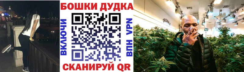 купить наркотики сайты  Завитинск  Бошки Шишки ГИДРОПОН 
